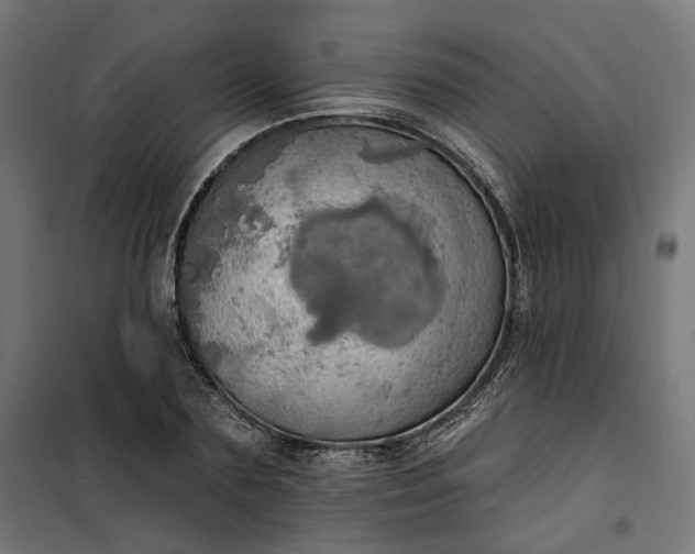 X0000100500883200806201712