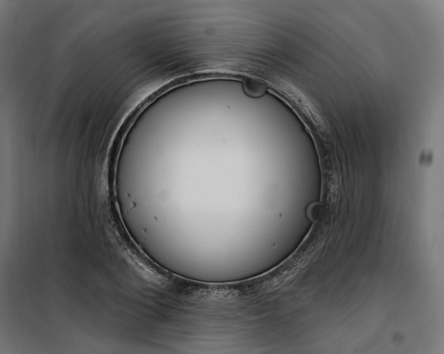 X0000100500884200806201712