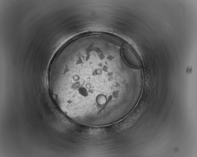 X0000100500887200806201712