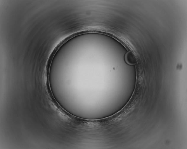 X0000100500888200806201712