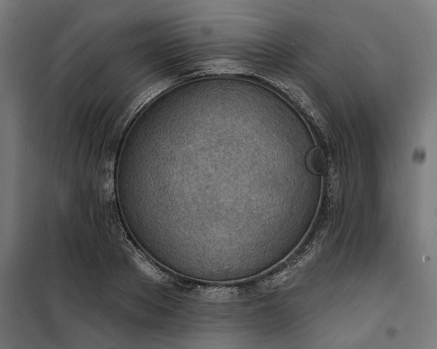 X0000100500889200806201712