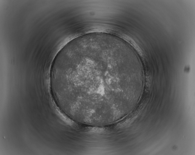 X0000100500890200806201712