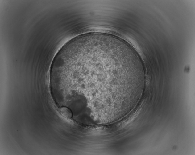 X0000100500891200806201712