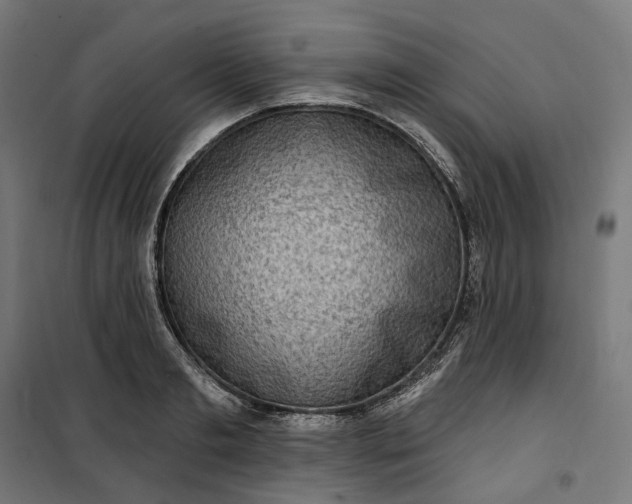 X0000100500893200806201712