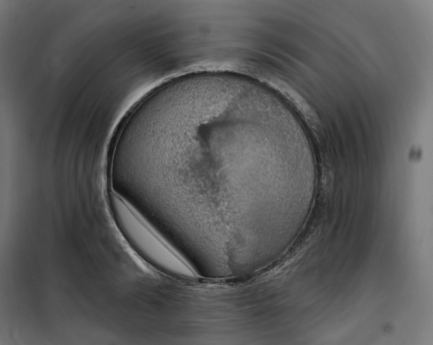 X0000100500894200806201712