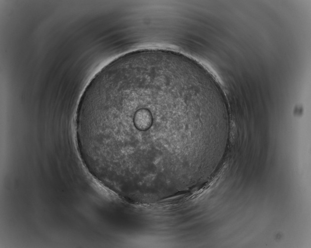 X0000100500895200806201712