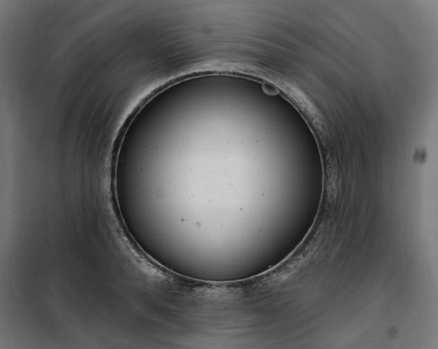 X0000100500896200806201712