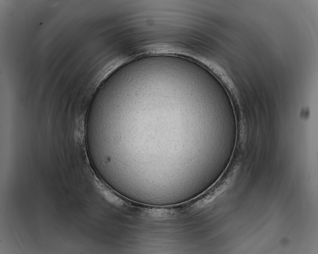 X0000100500897200806201712