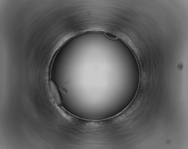 X0000100500898200806201712