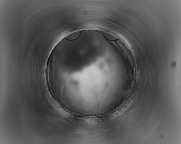 X0000100500899200806201712