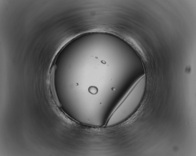 X0000100500900200806201712