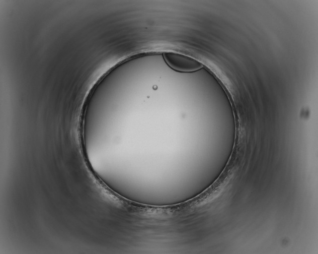 X0000100500901200806201712