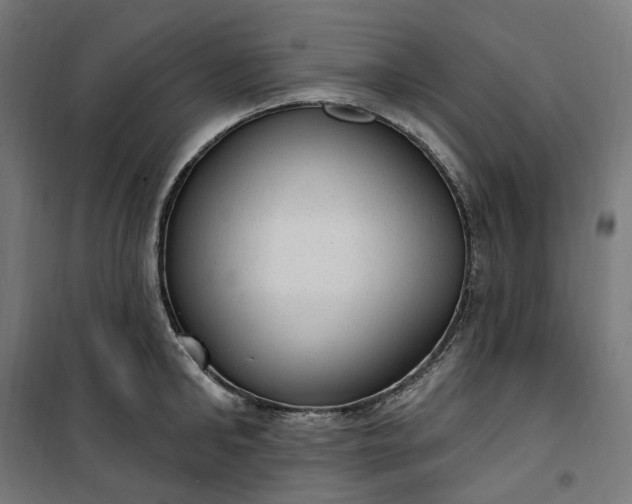 X0000100500902200806201712