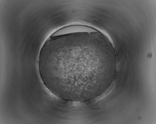 X0000100500903200806201712