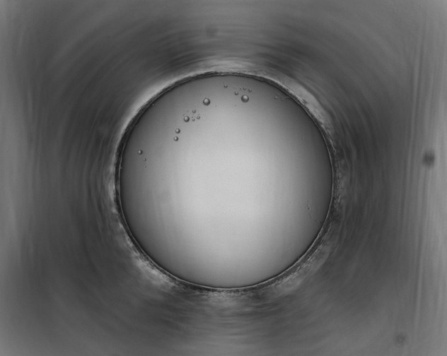 X0000100500904200806201712