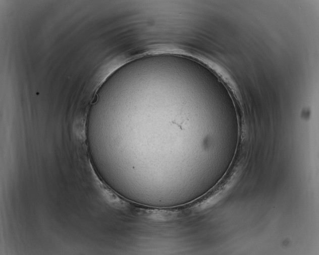 X0000100500905200806201712