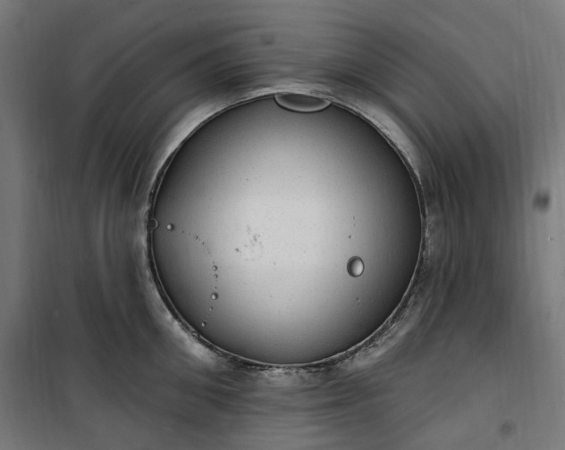 X0000100500906200806201712