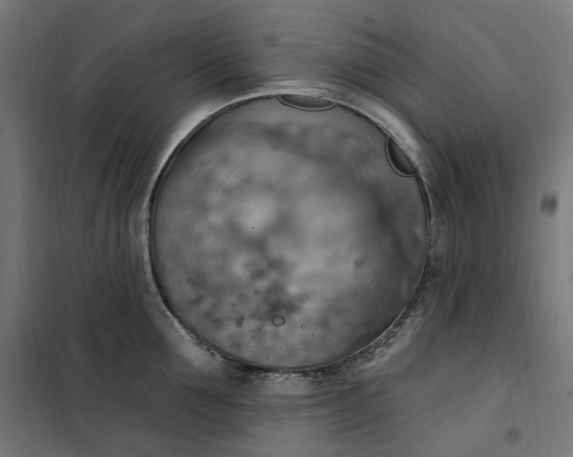 X0000100500907200806201712