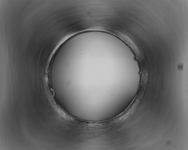 X0000100500908200806201712