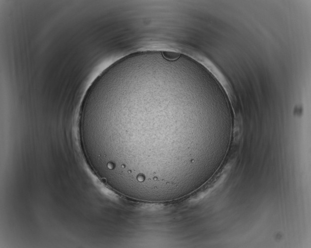 X0000100500909200806201712