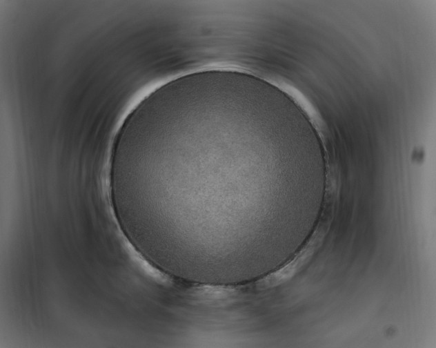 X0000100500910200806201712