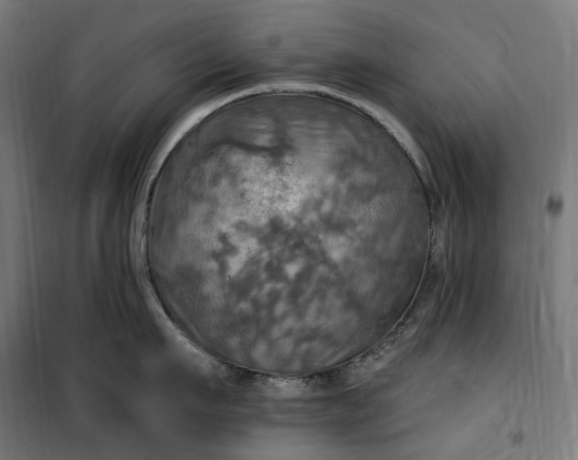 X0000100500911200806201712