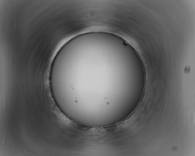 X0000100500912200806201712