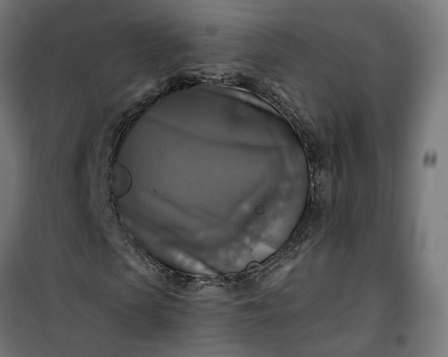 X0000100500913200806201711