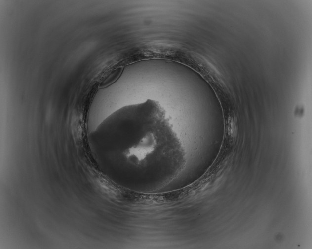 X0000100500915200806201711