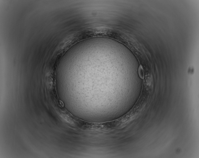 X0000100500916200806201711