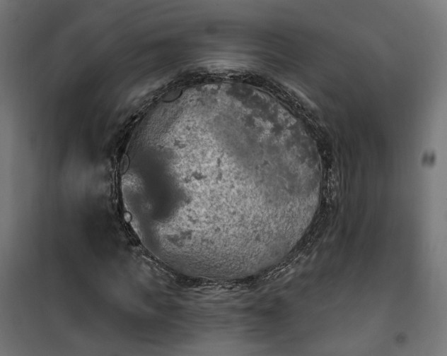 X0000100500917200806201711