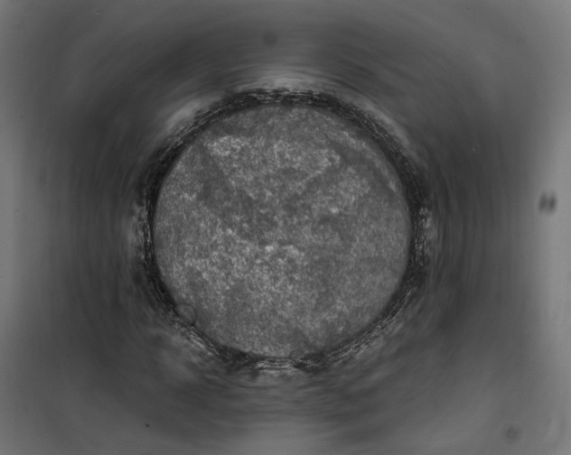 X0000100500918200806201711