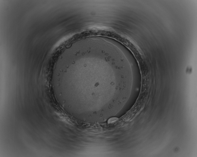 X0000100500919200806201711