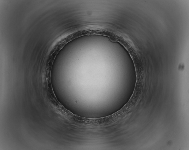 X0000100500920200806201711