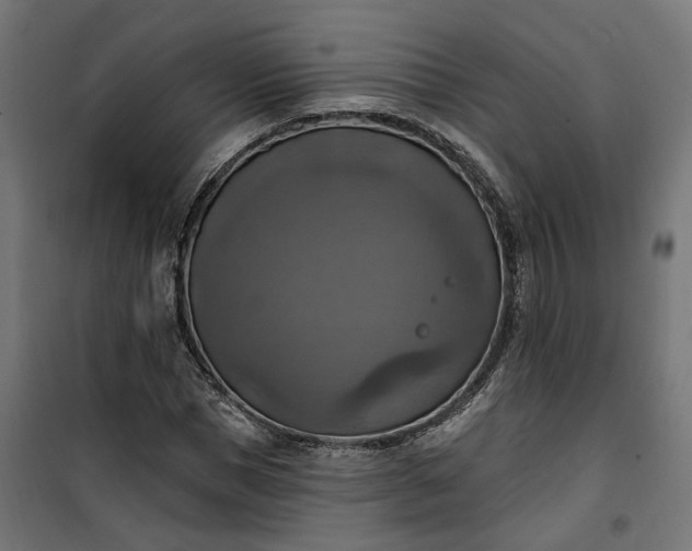 X0000100500921200806201711