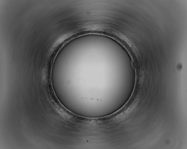 X0000100500922200806201711