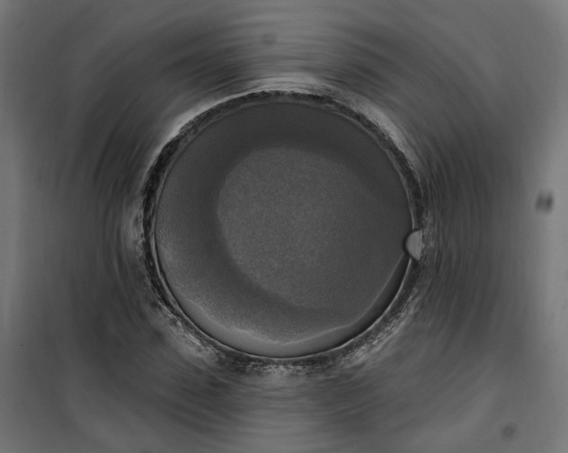 X0000100500923200806201711