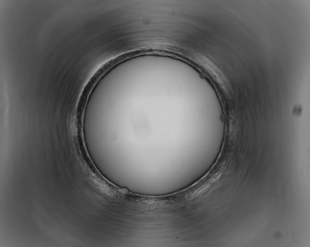 X0000100500924200806201711