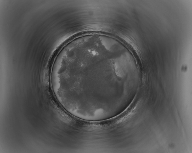 X0000100500925200806201711