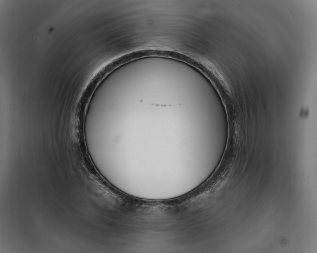 X0000100500926200806201711