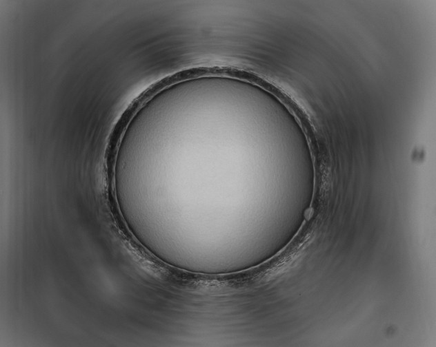 X0000100500927200806201711