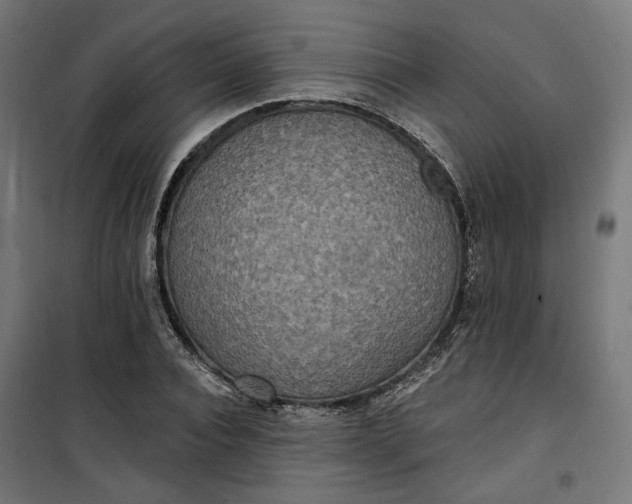 X0000100500928200806201711