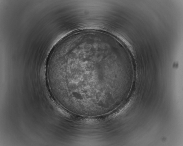 X0000100500933200806201711