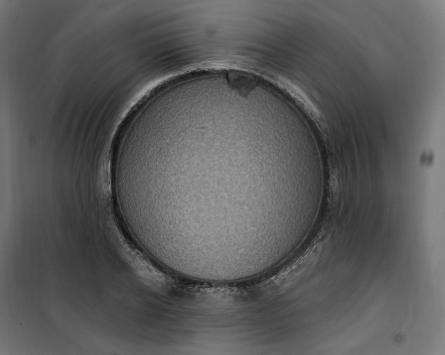 X0000100500934200806201711