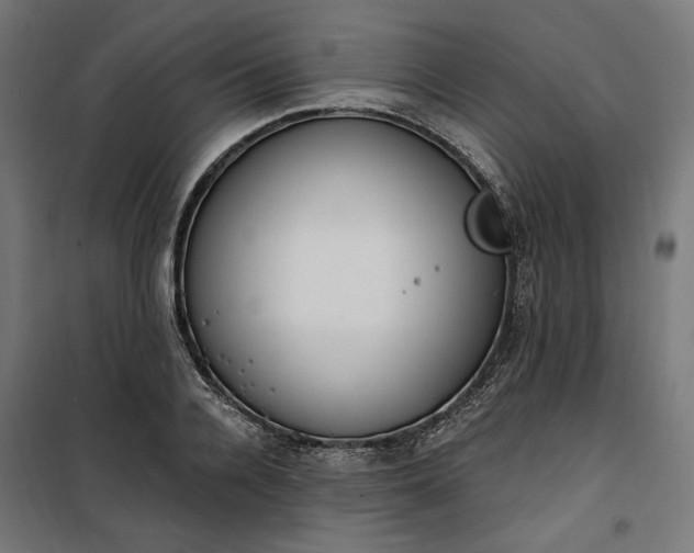 X0000100500936200806201712