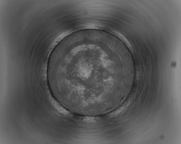 X0000100500938200806201712