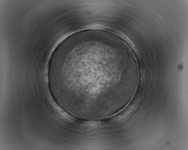 X0000100500939200806201712