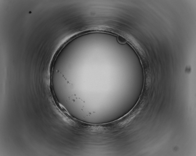 X0000100500940200806201712