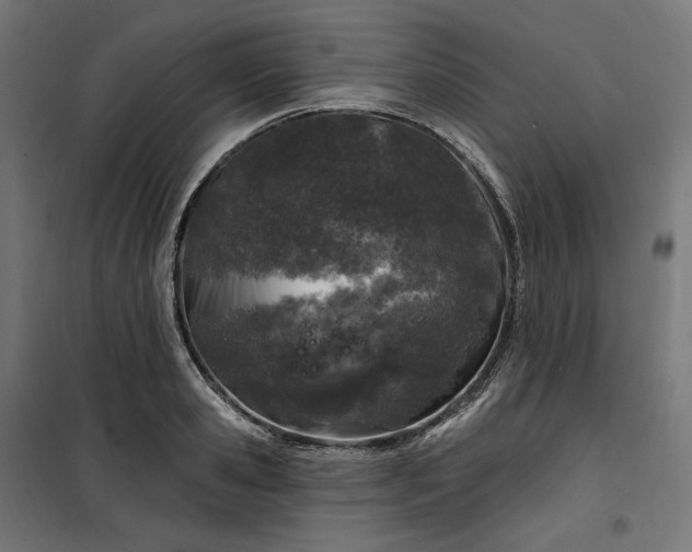 X0000100500941200806201712