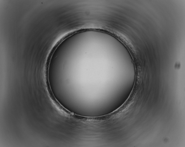 X0000100500942200806201712